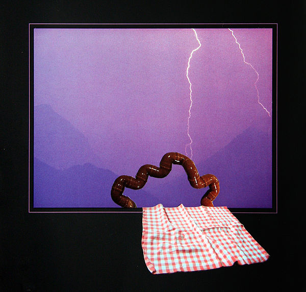 Picknick, 2008
Collage auf Papier
Privatbesitz
