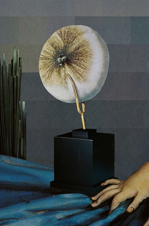 O.T., 2012
Collage, schwarzer Farbstift auf Papier
31.4 x 20.8 cm
Privatbesitz