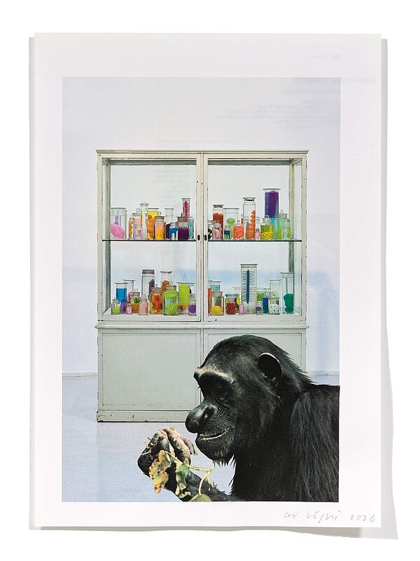 Primaten (M. Dion) Primaten (M. Dion), 2026
Analoge Collage aus Printmaterial
ca. A4
(Fotografie: © Mark Niedermann, Basel)