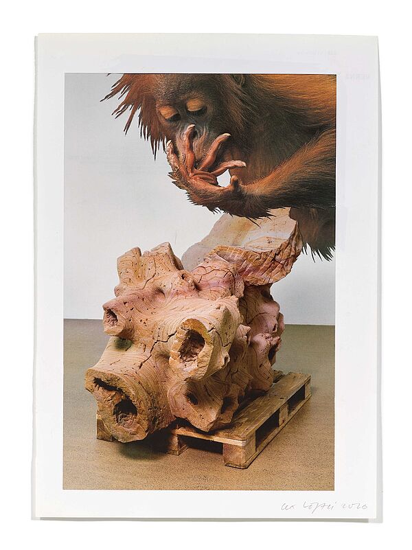 Primaten (P. Kamm) Primaten (P. Kamm), 2026
Analoge Collage aus Printmaterial
ca. A4
(Fotografie: © Mark Niedermann, Basel)