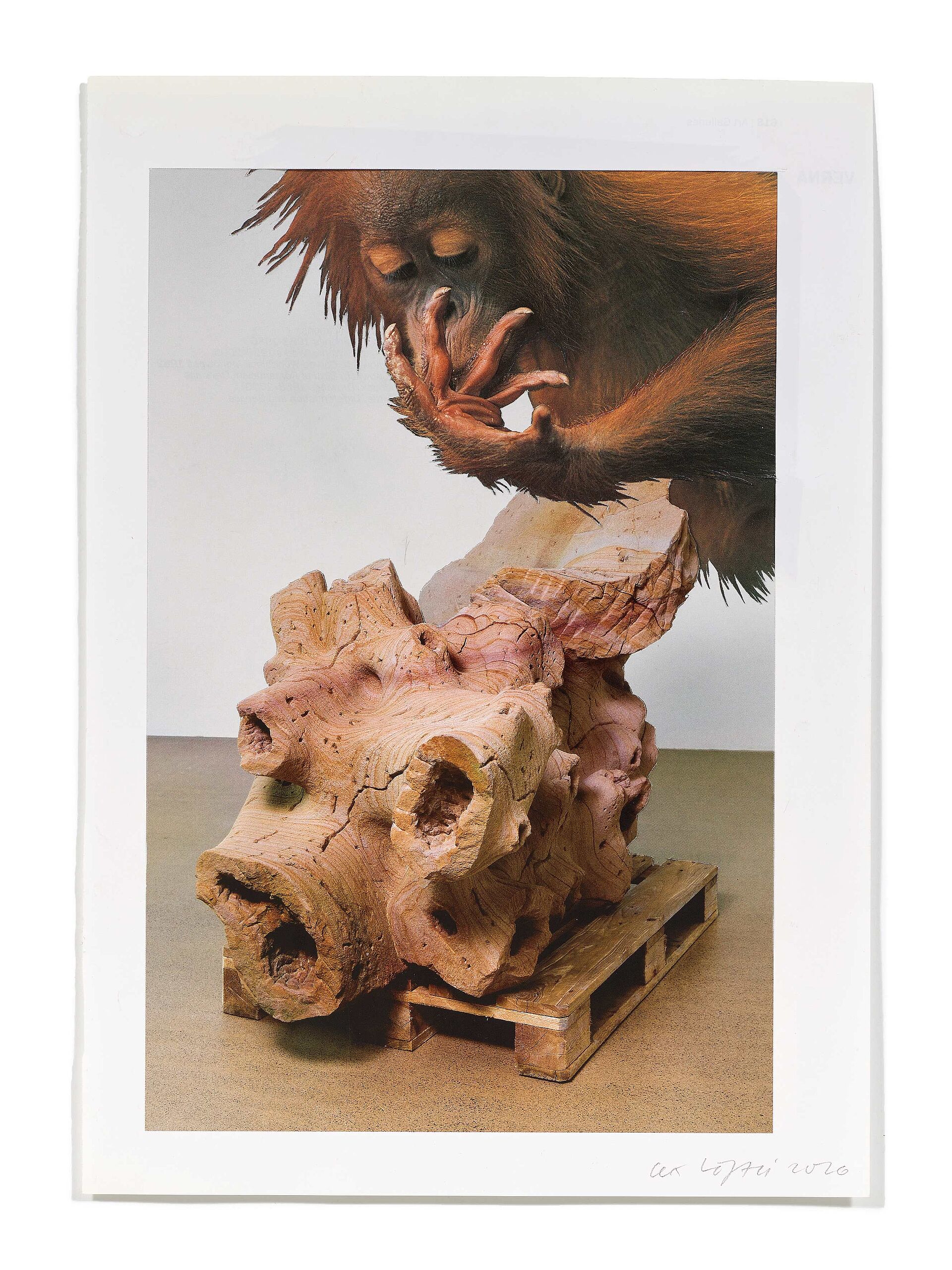 Primaten (P. Kamm), 2026
Analoge Collage aus Printmaterial
ca. A4
(Fotografie: © Mark Niedermann, Basel)