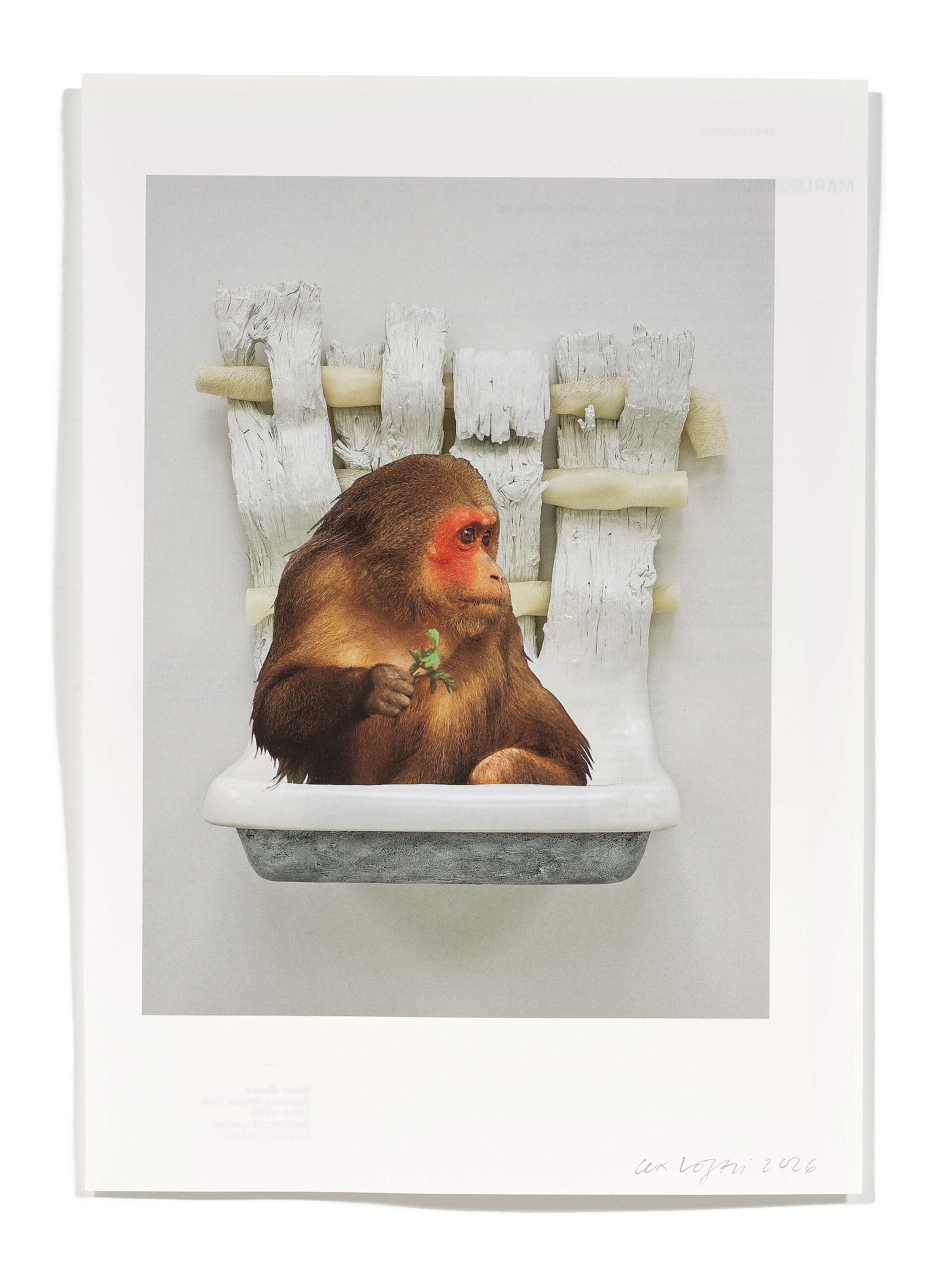 Primaten (R. Gober), 2026
Analoge Collage aus Printmaterial
ca. A4
Privatbesitz
(Fotografie: © Mark Niedermann, Basel)