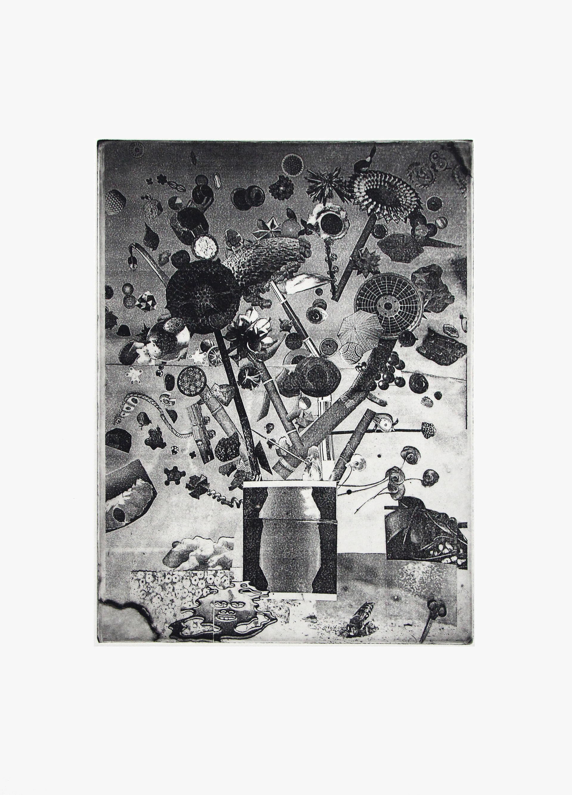 Pollenflug, 2020
(Auflage 4)
Plattengrösse: 27.7 x 20.5 cm
Blattgrösse: 45.5 x 34 cm
Polymer Tiefdruck
(Fotografie: © Mark Niedermann, Basel)
