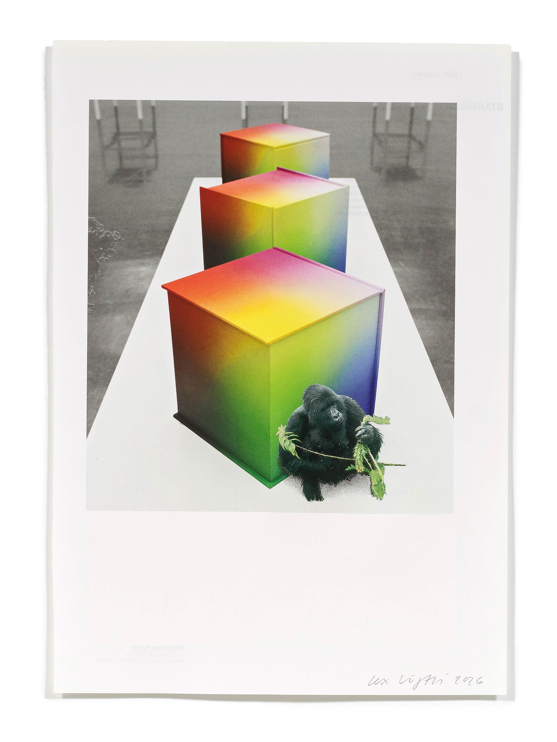 Primaten (T. Auerbach), 2026
Analoge Collage aus Printmaterial
ca. A4
(Fotografie: © Mark Niedermann, Basel)