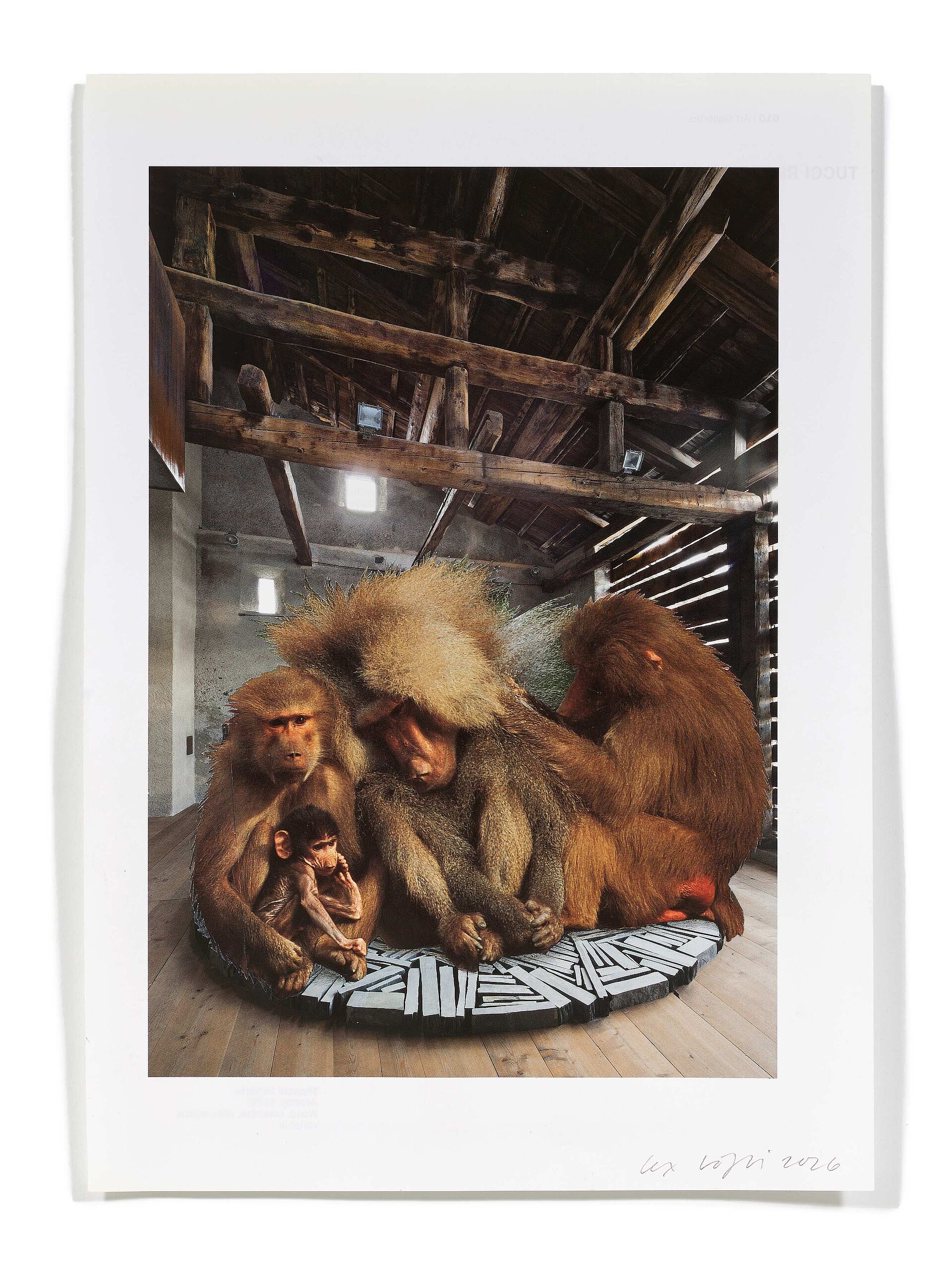 Primaten (R. Long), 2026 
Analoge Collage aus Printmaterial
ca. A4
(Fotografie: © Mark Niedermann, Basel)