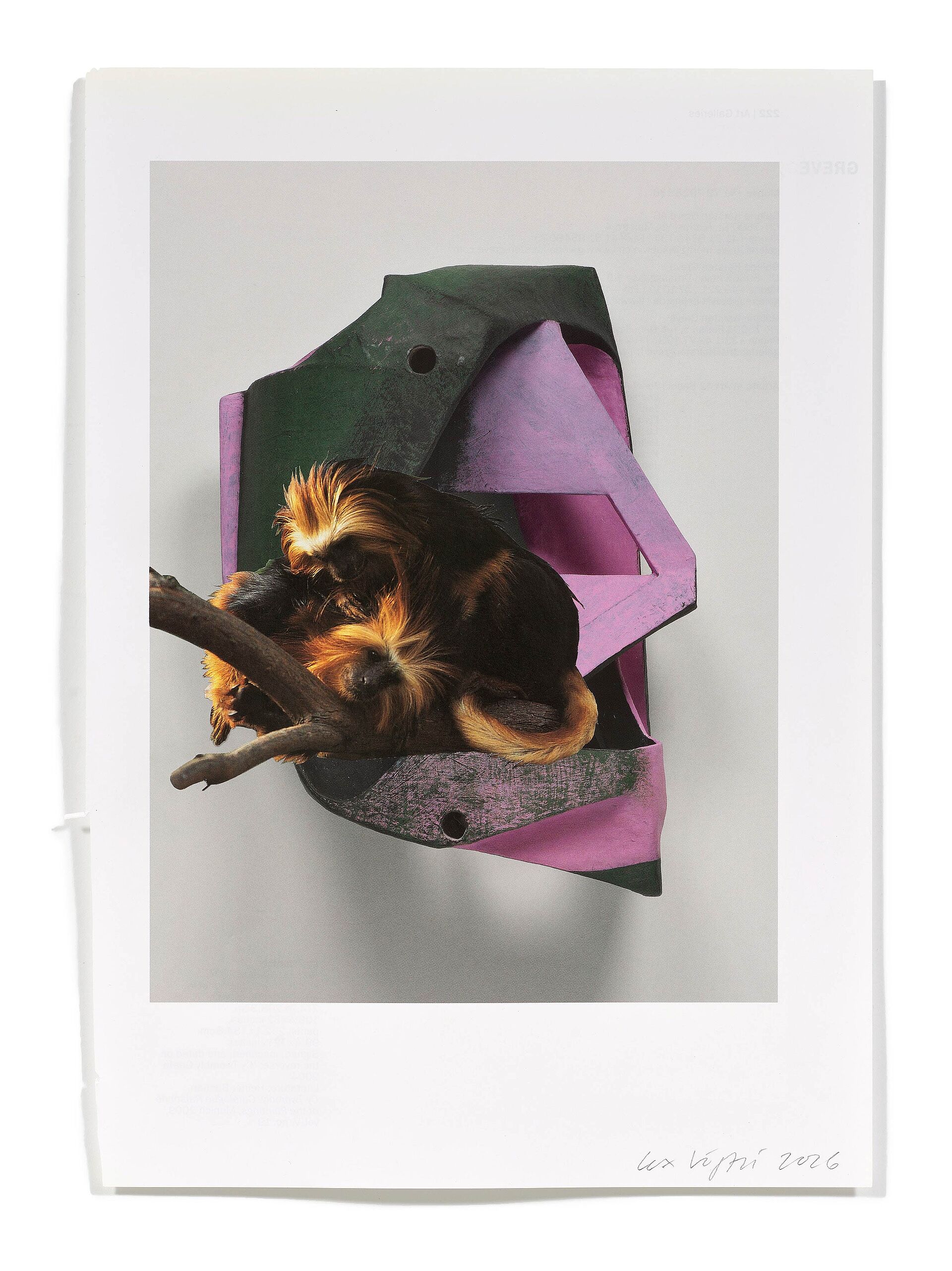 Primaten (V. Vecteau), 2026
Analoge Collage aus Printmaterial
ca. A4
(Fotografie: © Mark Niedermann, Basel)
