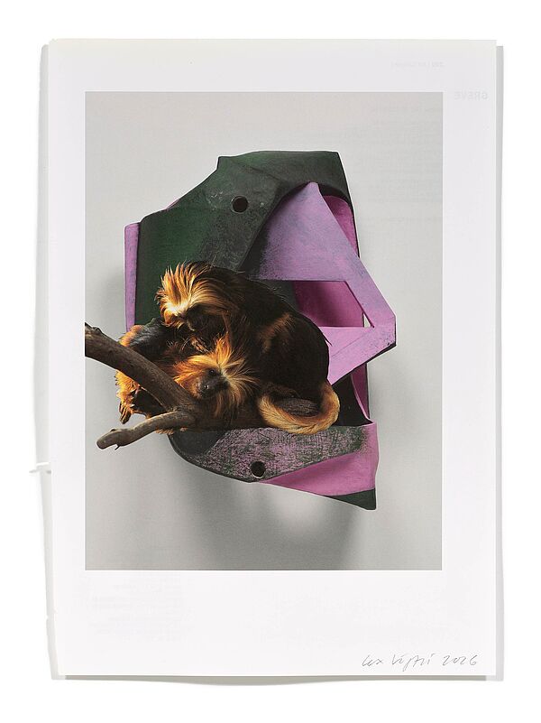 Primaten (V. Vecteau) Primaten (V. Vecteau), 2026
Analoge Collage aus Printmaterial
ca. A4
(Fotografie: © Mark Niedermann, Basel)