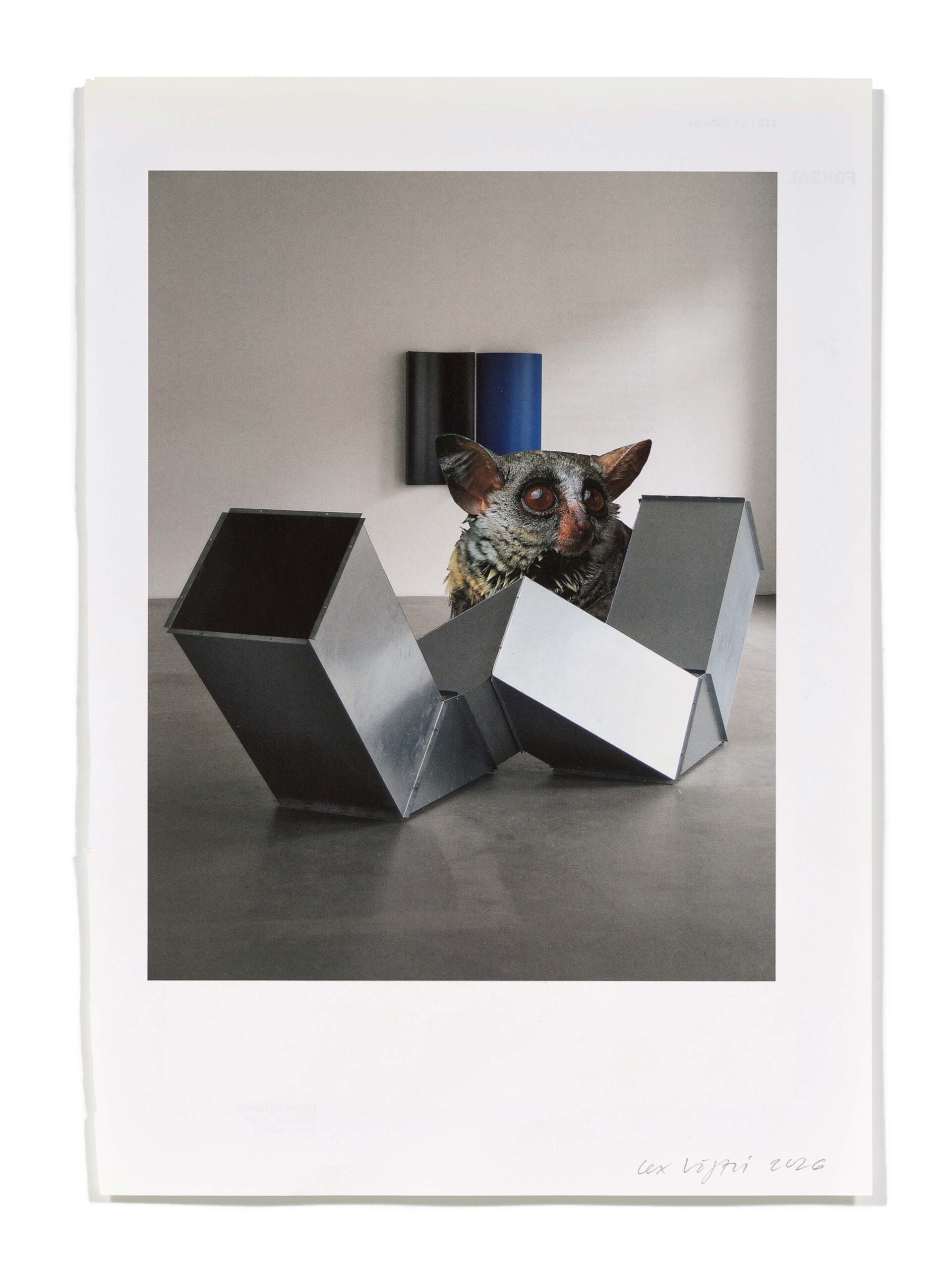 Primaten (C. Posenenske), 2026
Analoge Collage aus Printmaterial
ca. A4
(Fotografie: © Mark Niedermann, Basel)