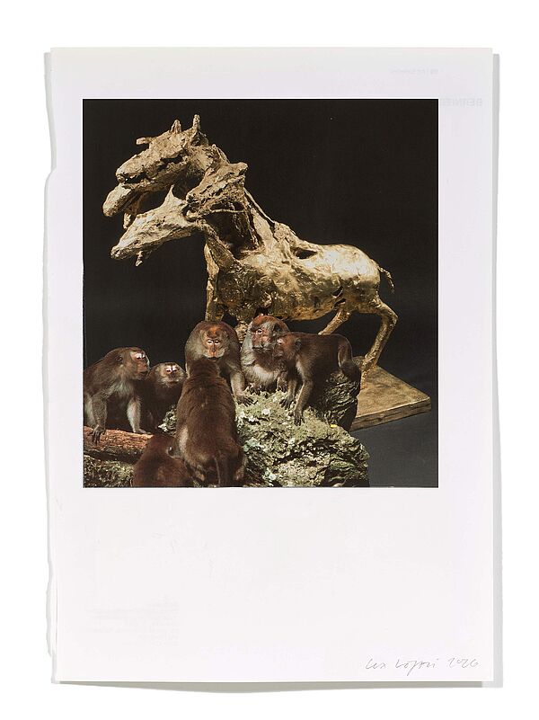 Primaten (G. Richier) Primaten (G. Richier), 2026
Analoge Collage aus Printmaterial
ca. A4
(Fotografie: © Mark Niedermann, Basel)