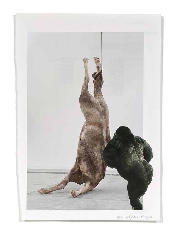 Primaten (B. De Bruyckere) Primaten (B. De Bruyckere), 2026
Analoge Collage aus Printmaterial
ca. A4
(Fotografie: © Mark Niedermann, Basel)