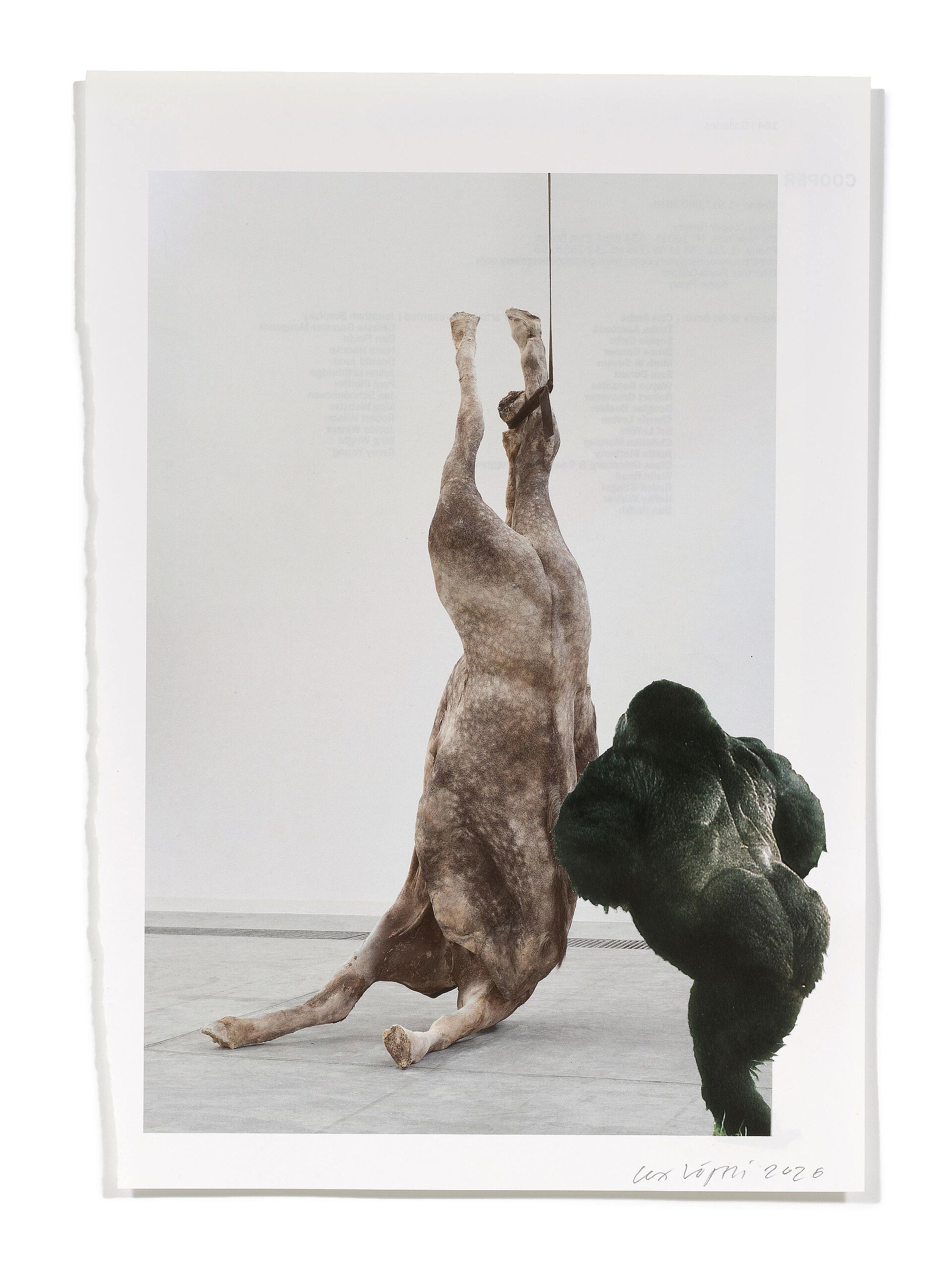 Primaten (B. De Bruyckere), 2026
Analoge Collage aus Printmaterial
ca. A4
(Fotografie: © Mark Niedermann, Basel)
