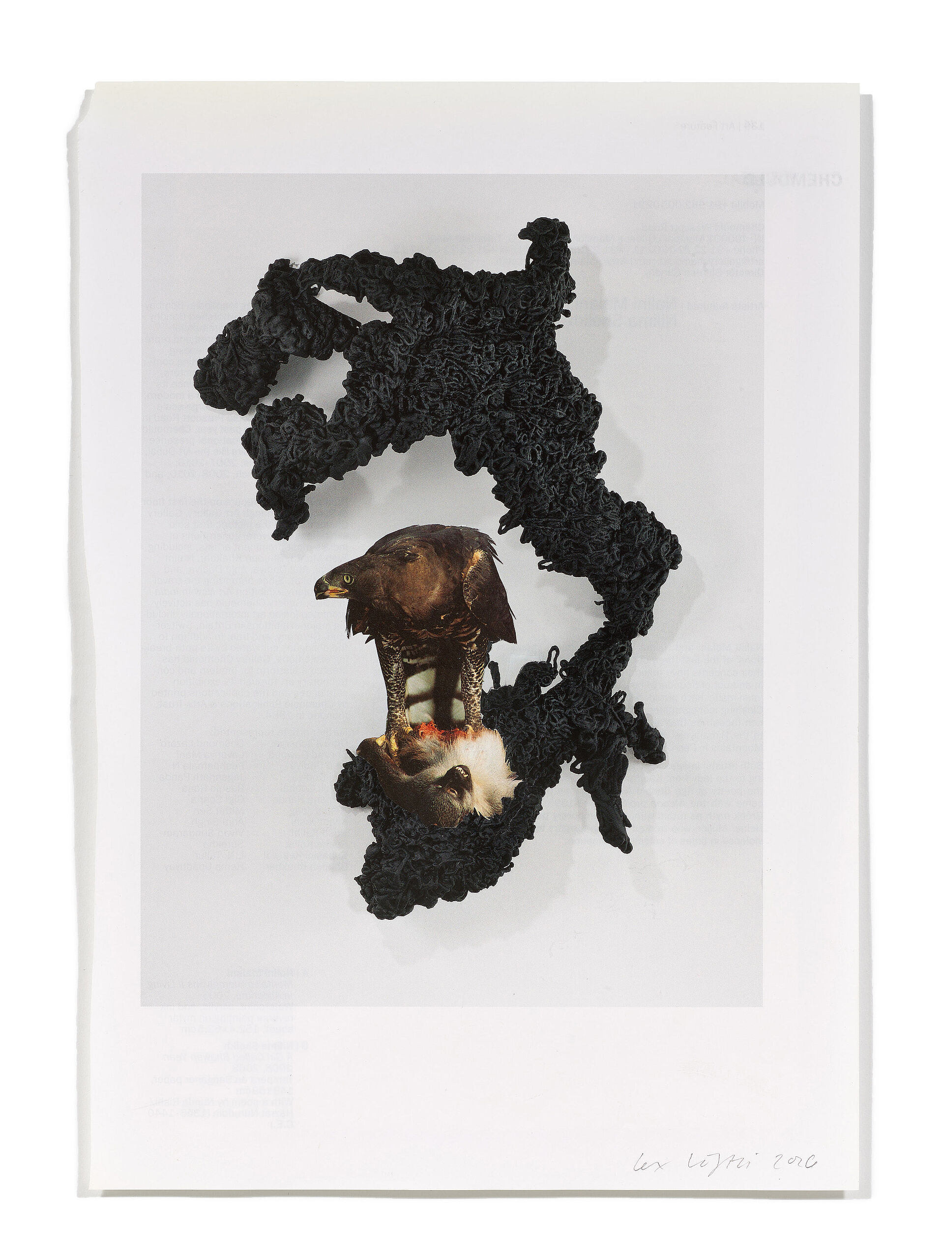 Primaten (L. Benglis), 2026 
Analoge Collage aus Printmaterial
ca. A4
(Fotografie: © Mark Niedermann, Basel)