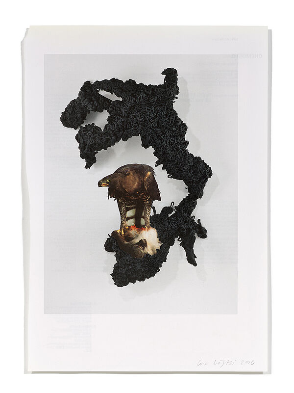 Primaten (L. Benglis) Primaten (L. Benglis), 2026
Analoge Collage aus Printmaterial
ca. A4
(Fotografie: © Mark Niedermann, Basel)