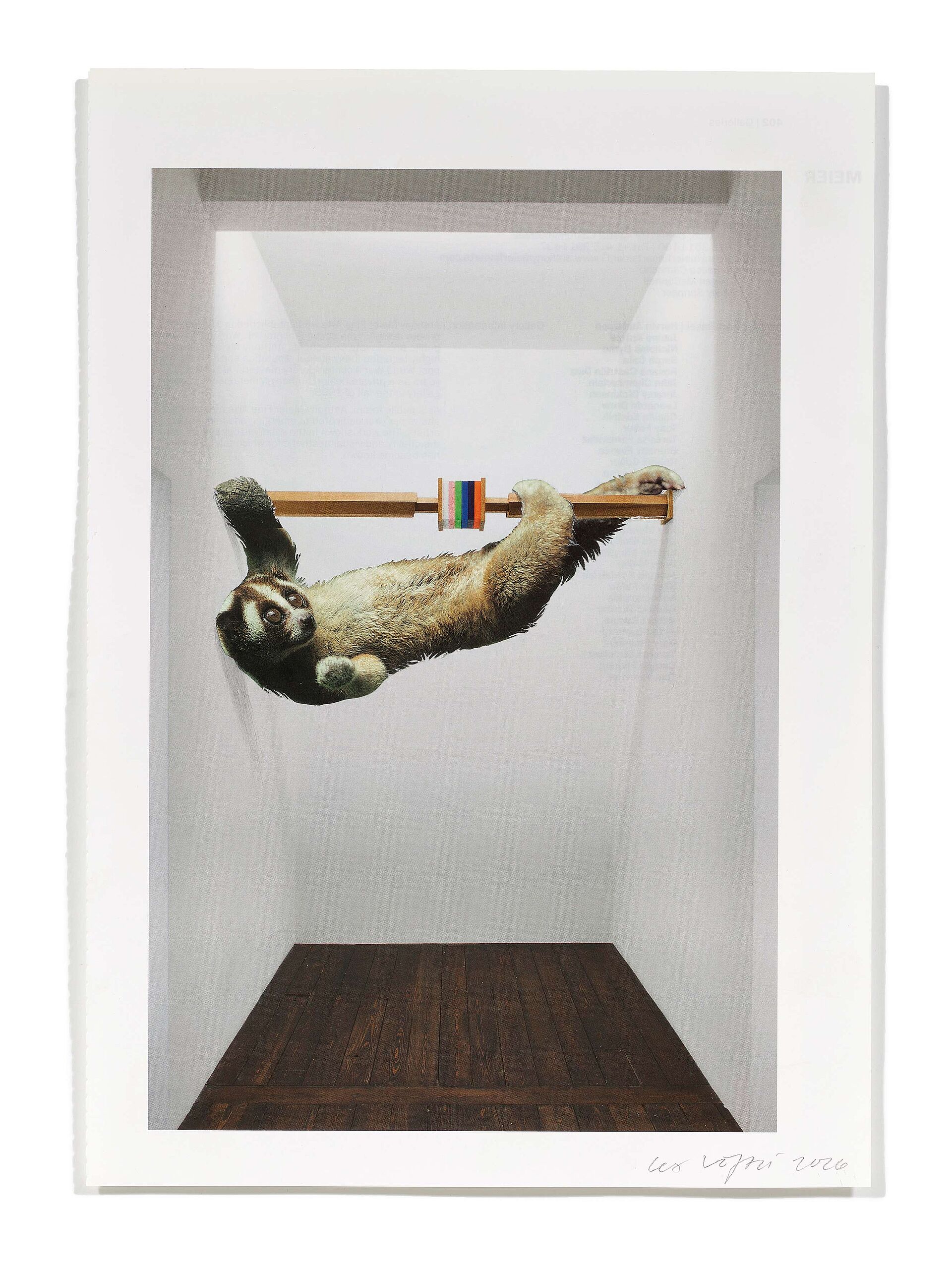 Primaten (T. Van Tran), 2026
Analoge Collage aus Printmaterial
ca. A4
(Fotografie: © Mark Niedermann, Basel)