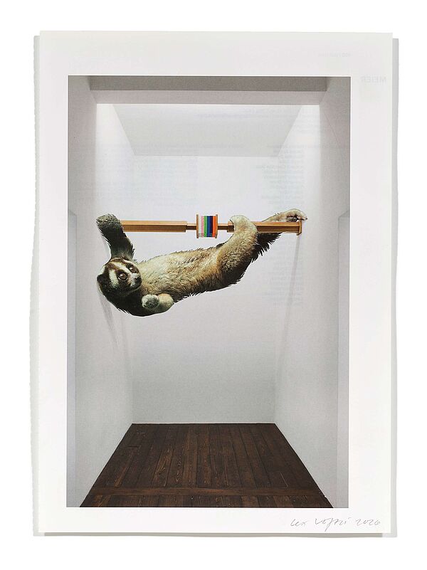 Primaten (T. Van Tran) Primaten (T. Van Tran), 2026
Analoge Collage aus Printmaterial
ca. A4
(Fotografie: © Mark Niedermann, Basel)