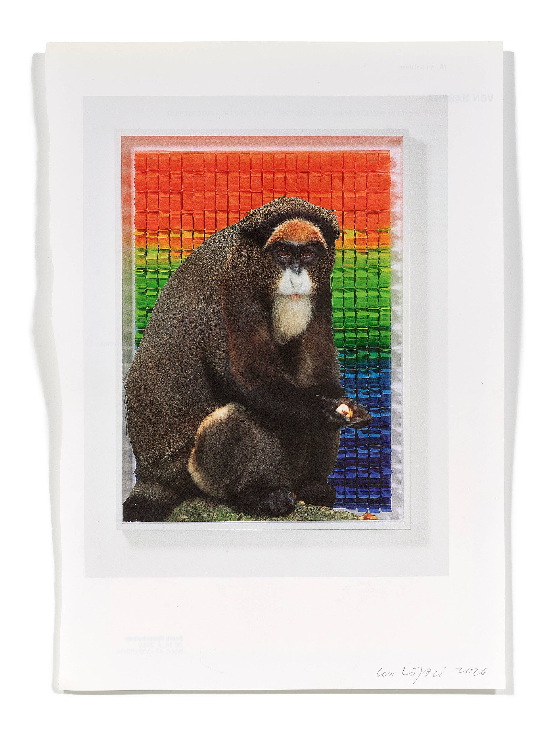 Primaten (L. Esteve), 2026 
Analoge Collage aus Printmaterial
ca. A4
(Fotografie: © Mark Niedermann, Basel)
