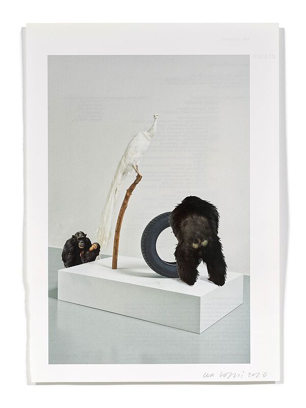 Primaten (S. Fleury) Primaten (S. Fleury), 2026
Analoge Collage aus Printmaterial
ca. A4
(Fotografie: © Mark Niedermann, Basel)