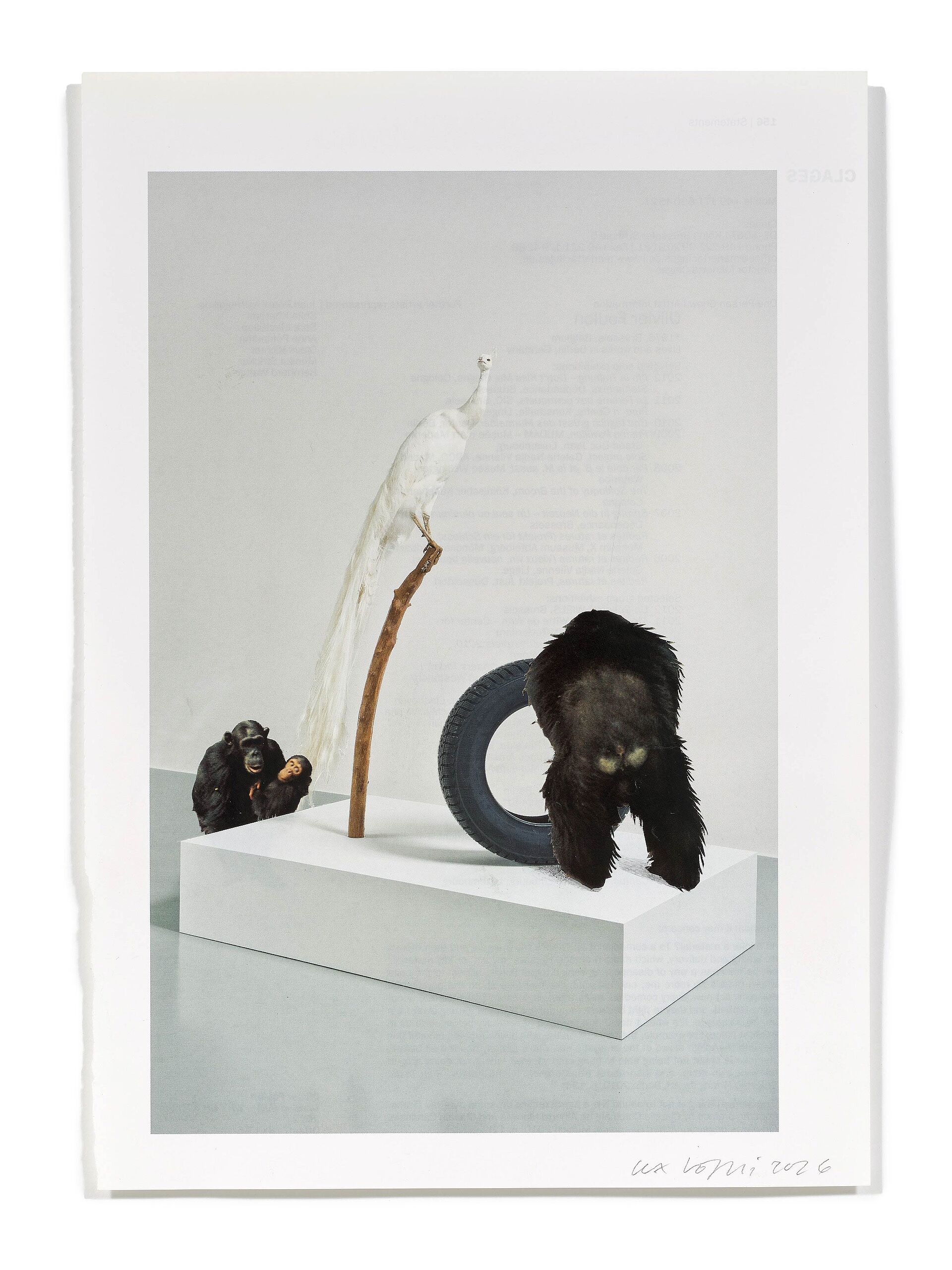 Primaten (S. Fleury), 2026
Analoge Collage aus Printmaterial
ca. A4
(Fotografie: © Mark Niedermann, Basel)