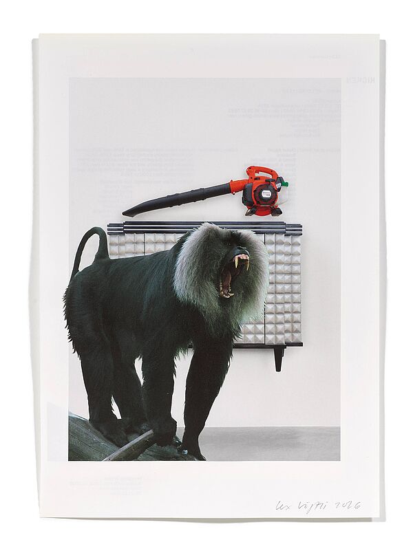 Primaten (B. Lavier) Primaten (B. Lavier), 2026
Analoge Collage aus Printmaterial
ca. A4
(Fotografie: © Mark Niedermann, Basel)