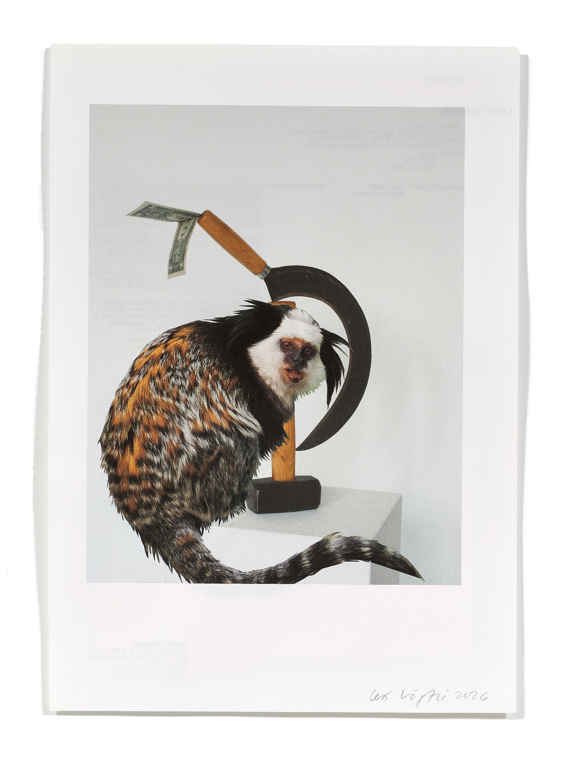Primaten (T. Fox), 2026
Analoge Collage aus Printmaterial
ca. A4
(Fotografie: © Mark Niedermann, Basel)