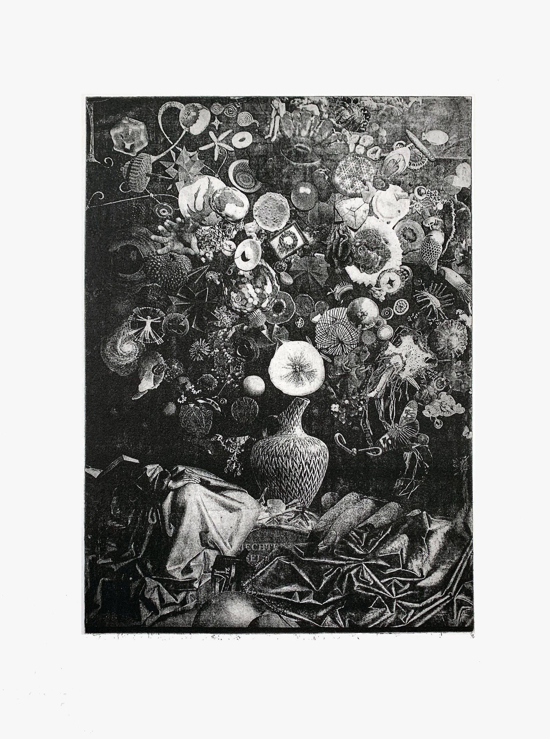 Bestäubung, 2020
(Unikat einer Serie, 5)
Plattengrösse: 27.6 x 19.6 cm
Blattgrösse: verschieden
Polymer Tiefdruck
(Fotografie: © Mark Niedermann, Basel)