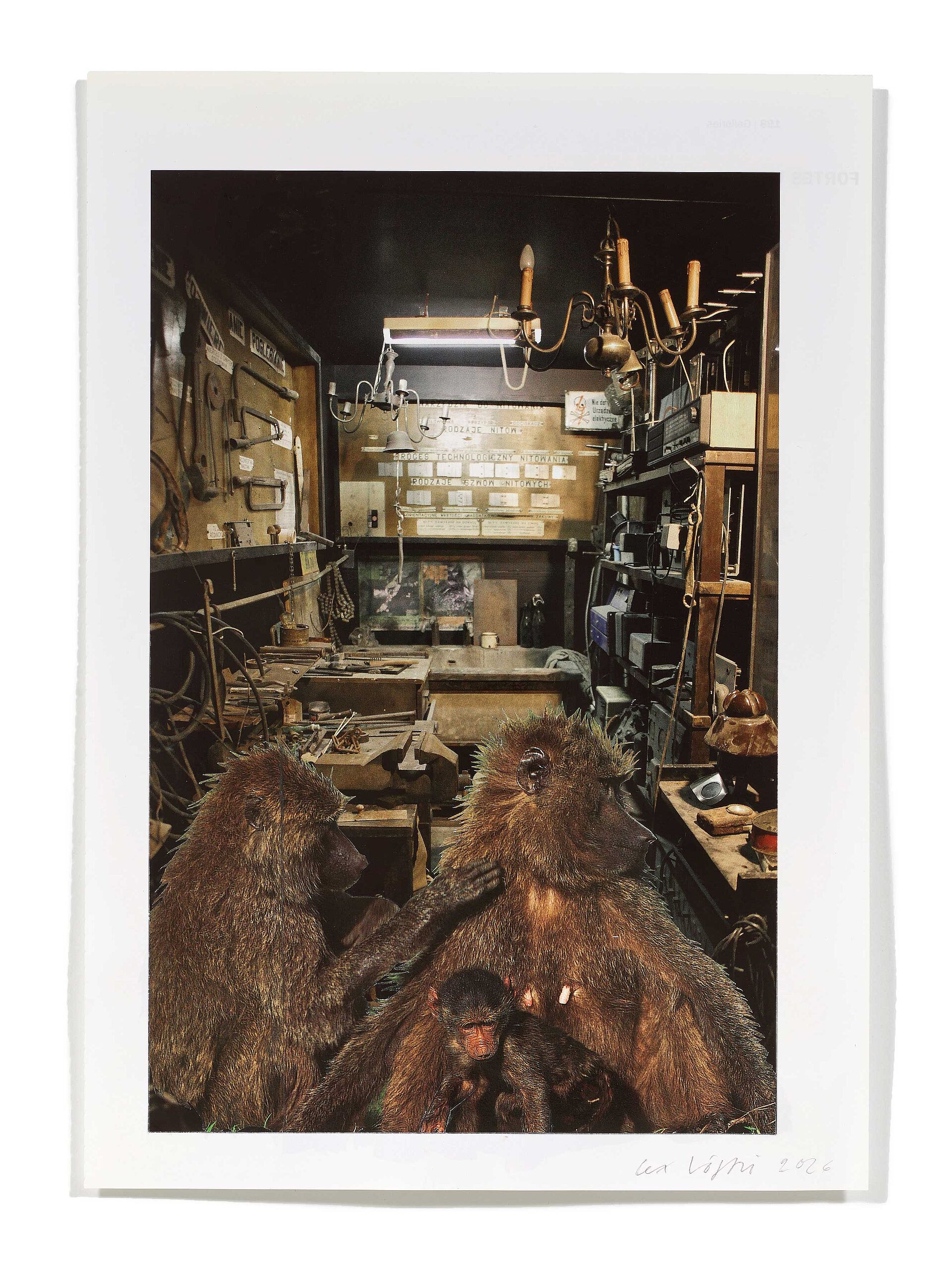Primaten (R. Kusmirowski), 2026
Analoge Collage aus Printmaterial
ca. A4
(Fotografie: © Mark Niedermann, Basel)