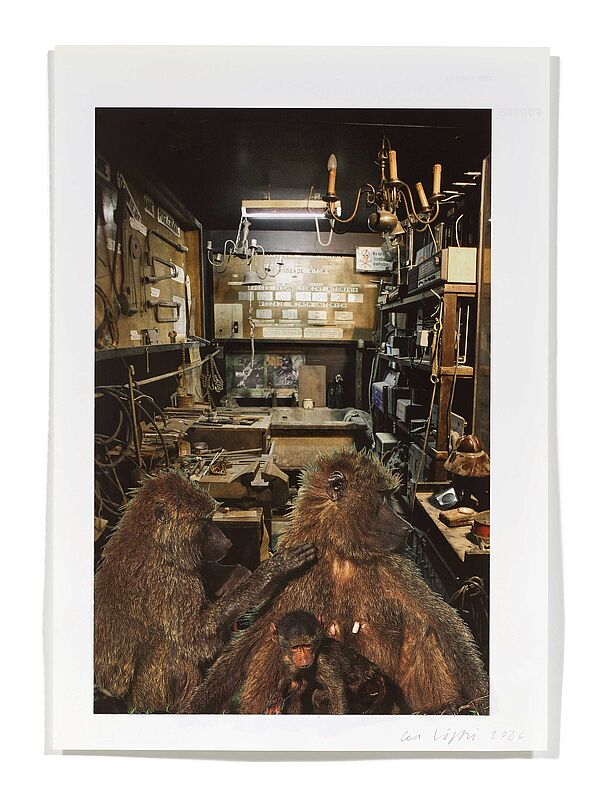Primaten (R. Kusmirowski) Primaten (R. Kusmirowski), 2026
Analoge Collage aus Printmaterial
ca. A4
(Fotografie: © Mark Niedermann, Basel)