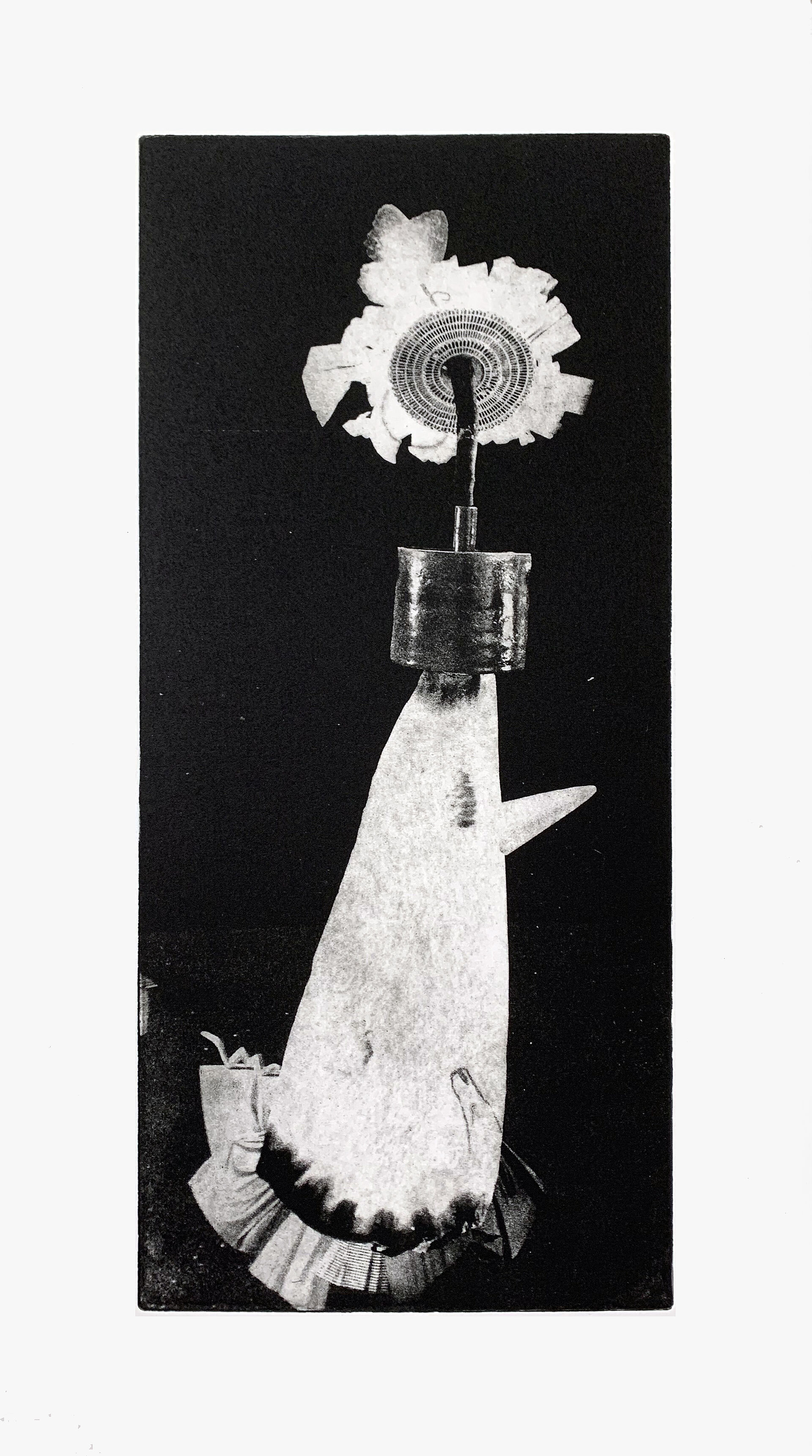 Alte Blume, 2020 
(Auflage 7)
Plattengrösse: 30.3 x 13.8 cm
Blattgrösse: 43 x 22 cm
Polymer Tiefdruck
(Fotografie: © Mark Niedermann, Basel)