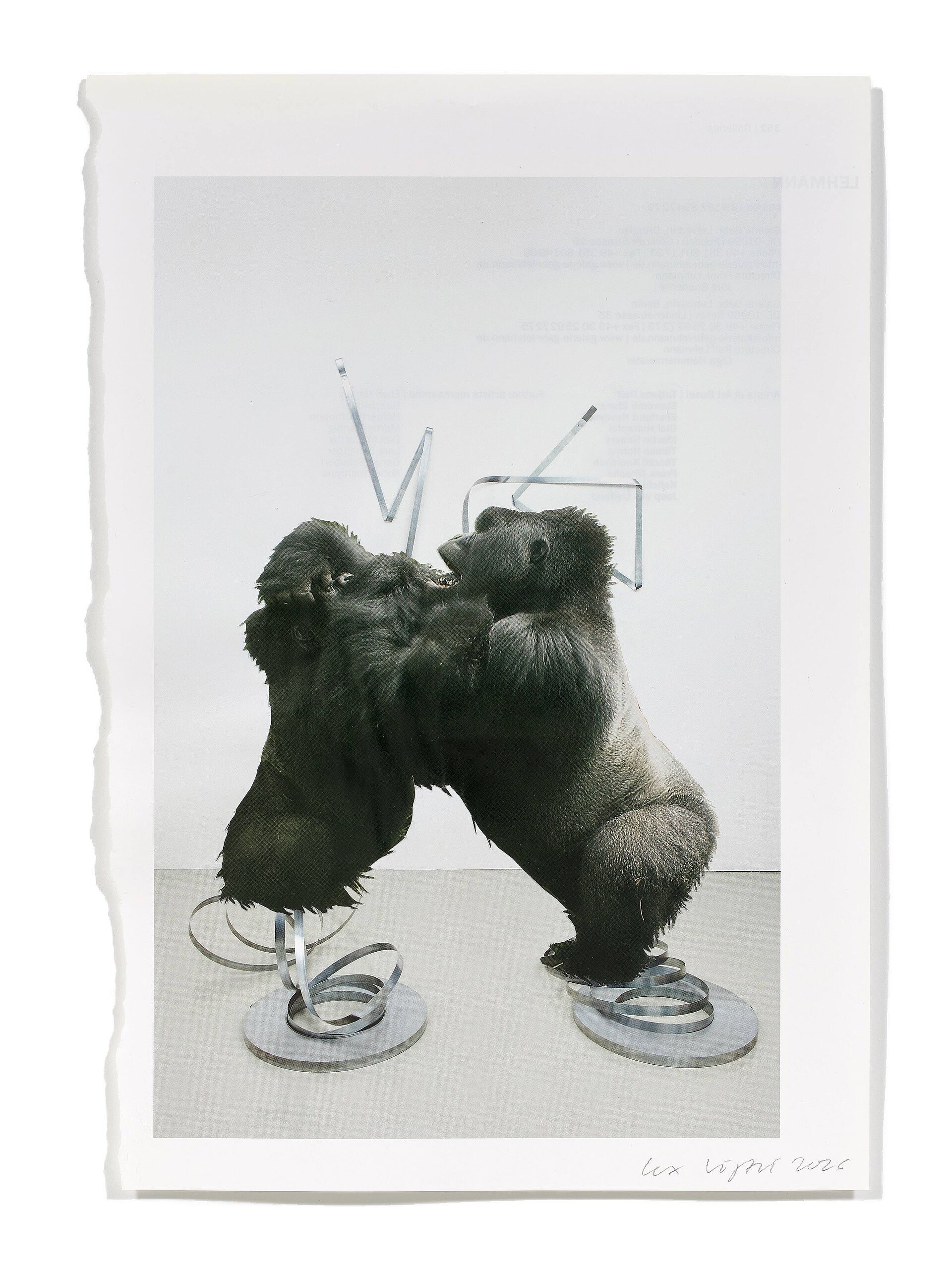 Primaten (M. Faldbakken), 2026
Analoge Collage aus Printmaterial
ca. A4
(Fotografie: © Mark Niedermann, Basel)