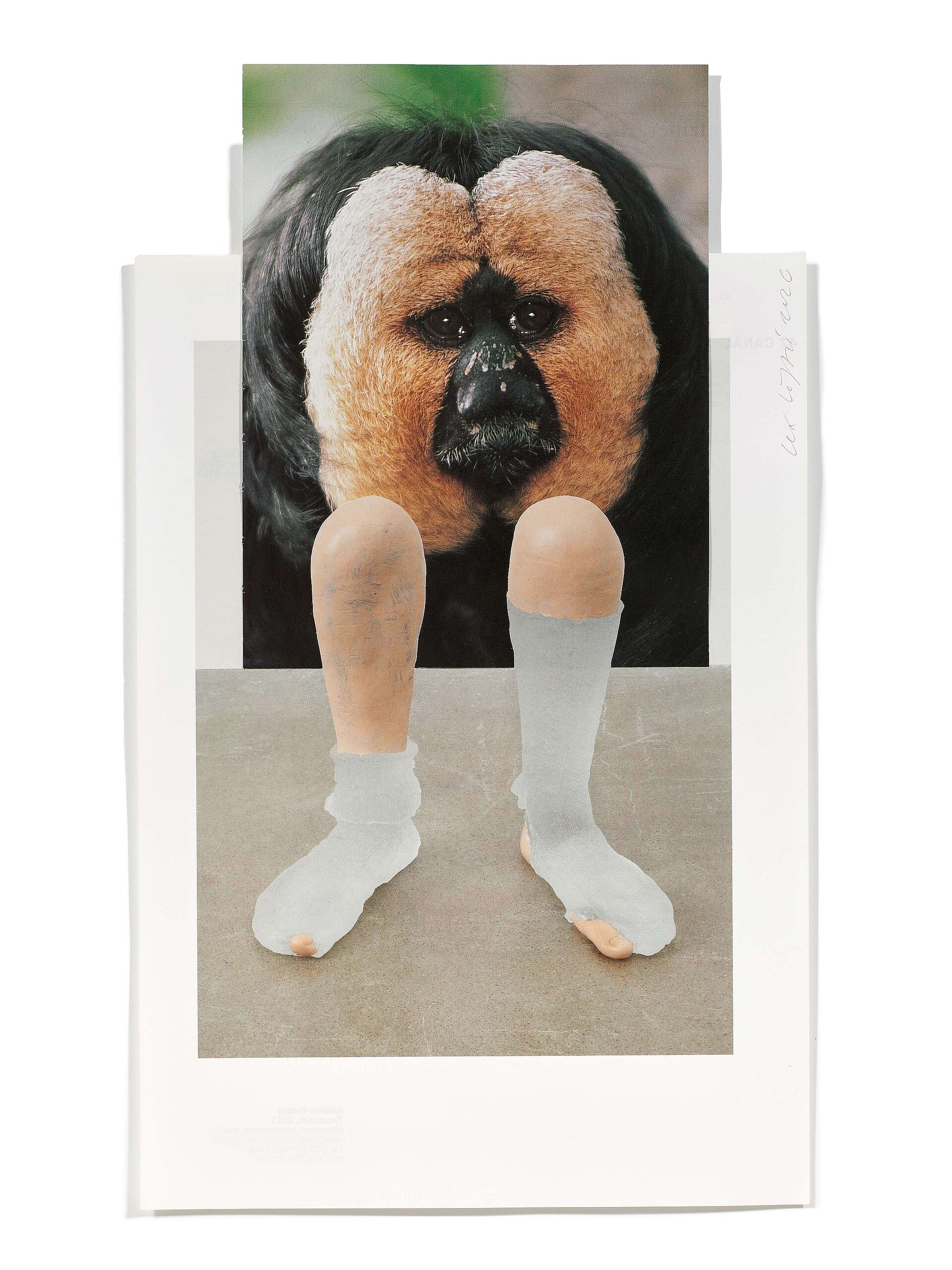 Primaten (V. Carron), 2026
Analoge Collage aus Printmaterial
ca. A4
Privatbesitz
(Fotografie: © Mark Niedermann, Basel)