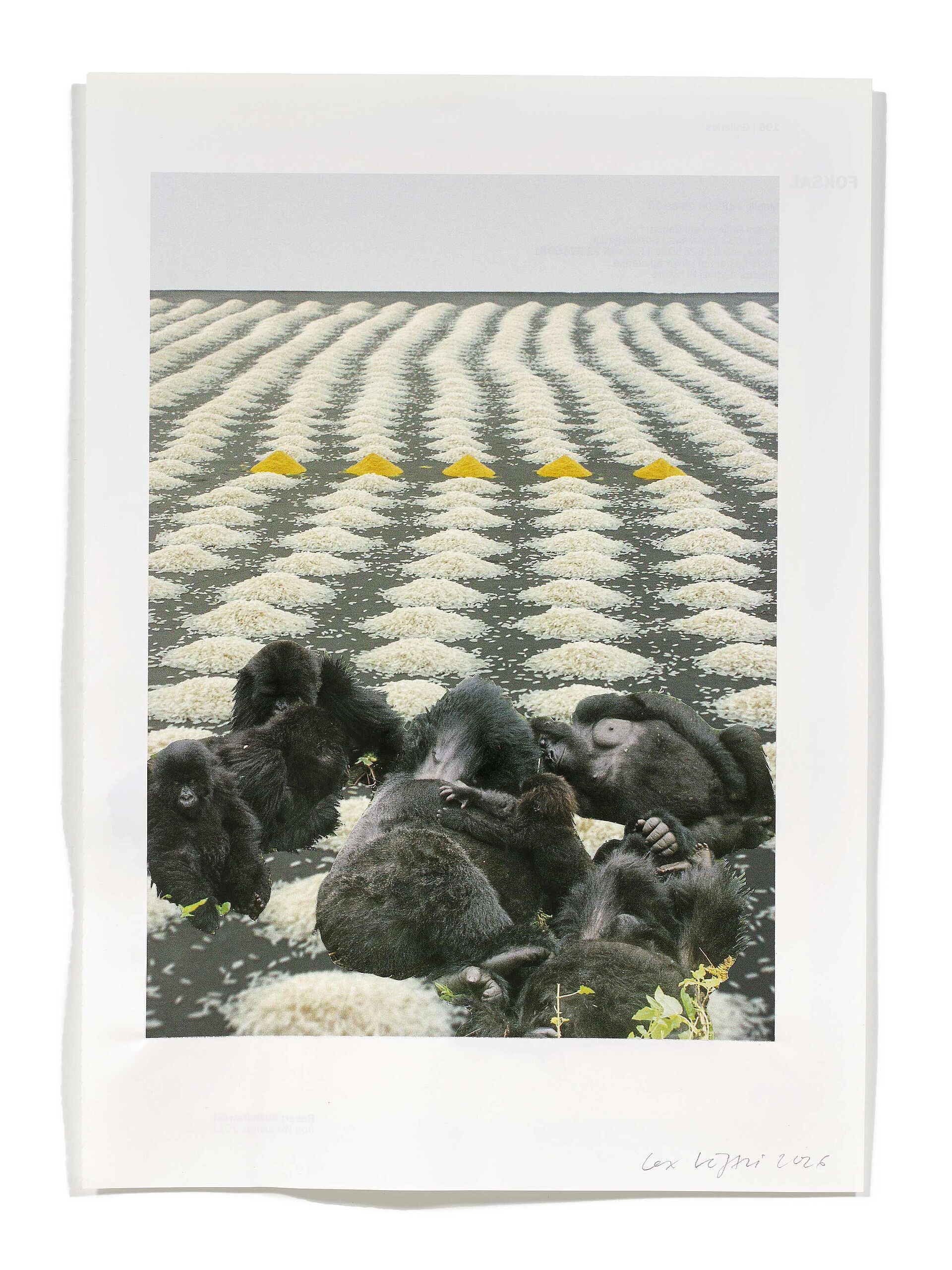 Primaten (W. Laib), 2026
Analoge Collage aus Printmaterial
ca. A4
(Fotografie: © Mark Niedermann, Basel)