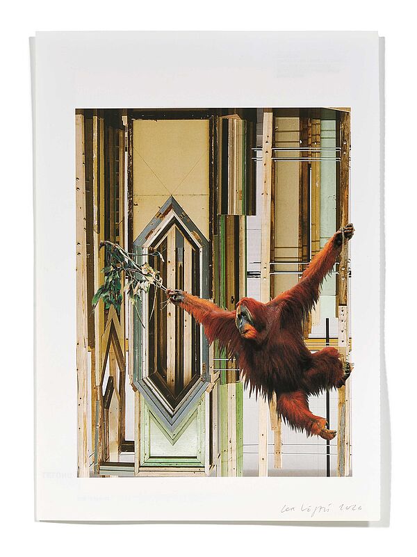 Primaten (L. Wei) Primaten (L. Wei), 2026
Analoge Collage aus Printmaterial
ca. A4
(Fotografie: © Mark Niedermann, Basel)