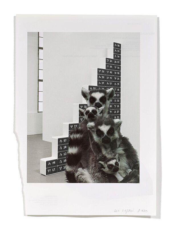 Primaten (D. Almond II) Primaten (D. Almond II), 2026
Analoge Collage aus Printmaterial
ca. A4
(Fotografie: © Mark Niedermann, Basel)