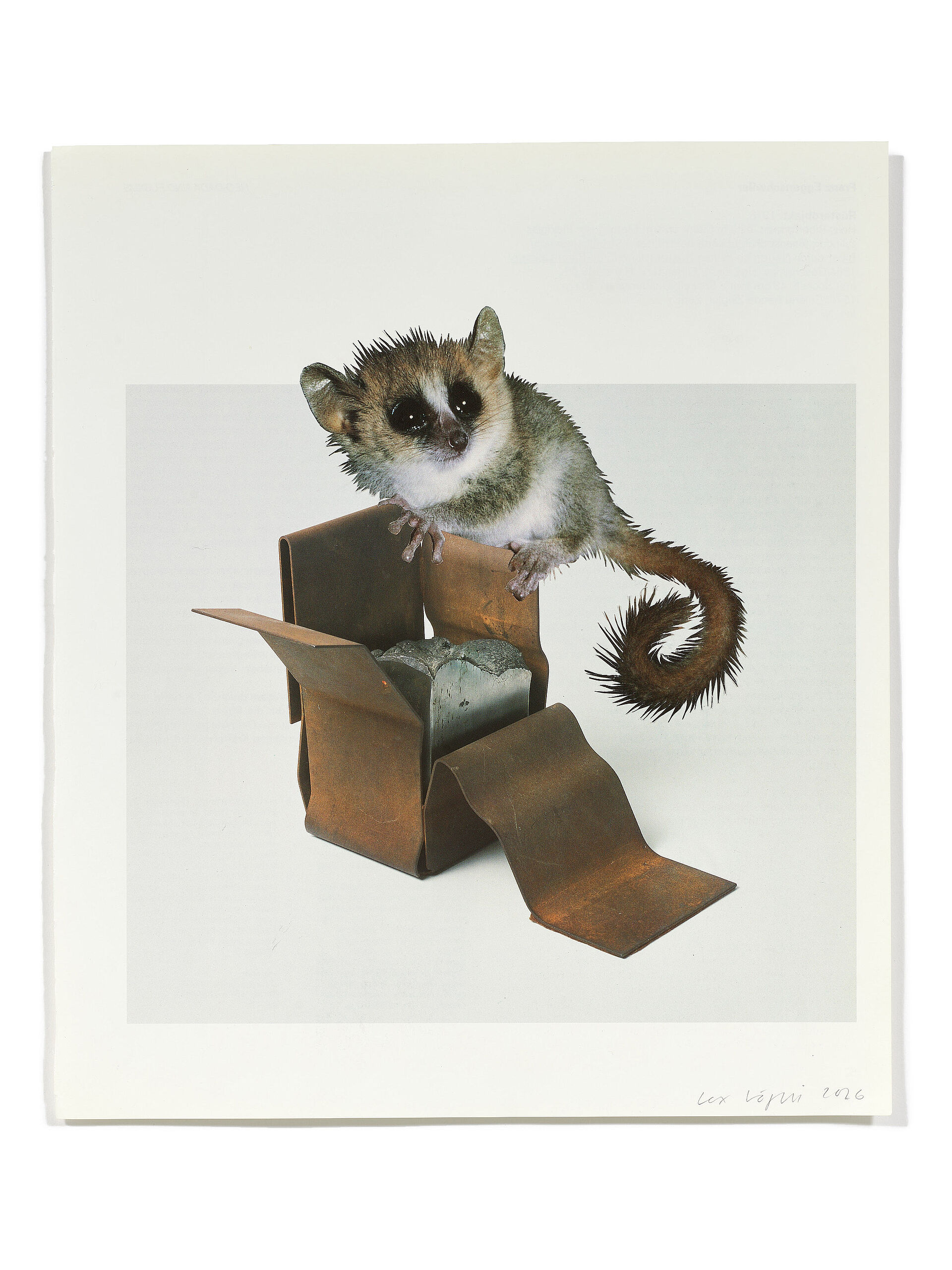 Primaten (X), 2026
Analoge Collage aus Printmaterial
ca. A4
(Fotografie: © Mark Niedermann, Basel)