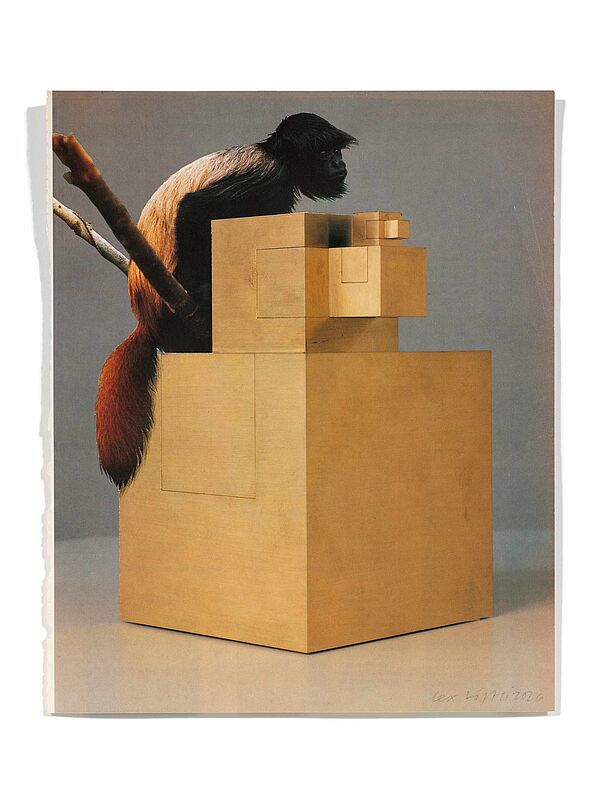 Primaten (E. Heerich) Primaten (E. Heerich), 2026
Analoge Collage aus Printmaterial
ca. A4
(Fotografie: © Mark Niedermann, Basel)