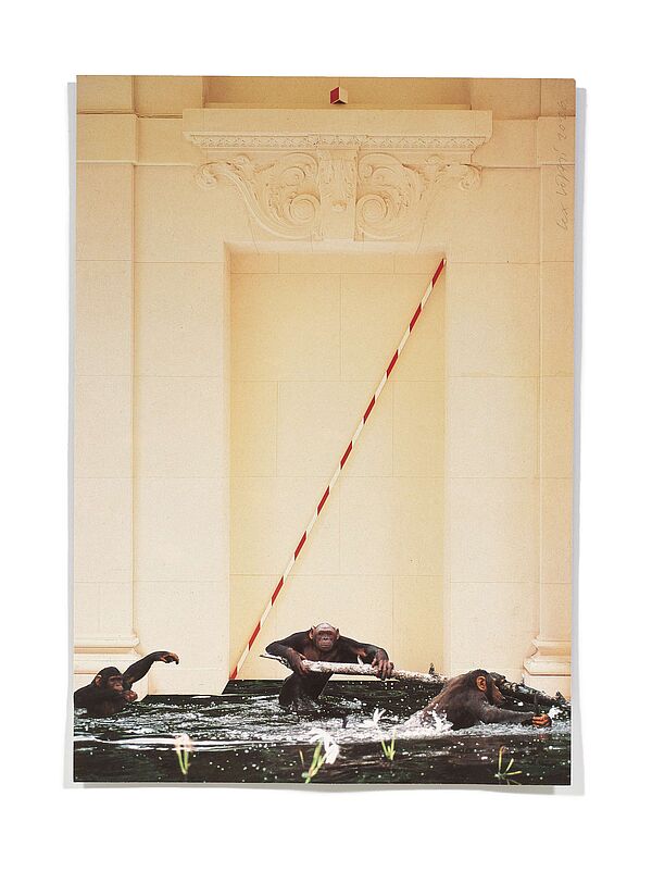 Primaten (Y) Primaten (Y), 2026
Analoge Collage aus Printmaterial
ca. A4
(Fotografie: © Mark Niedermann, Basel)