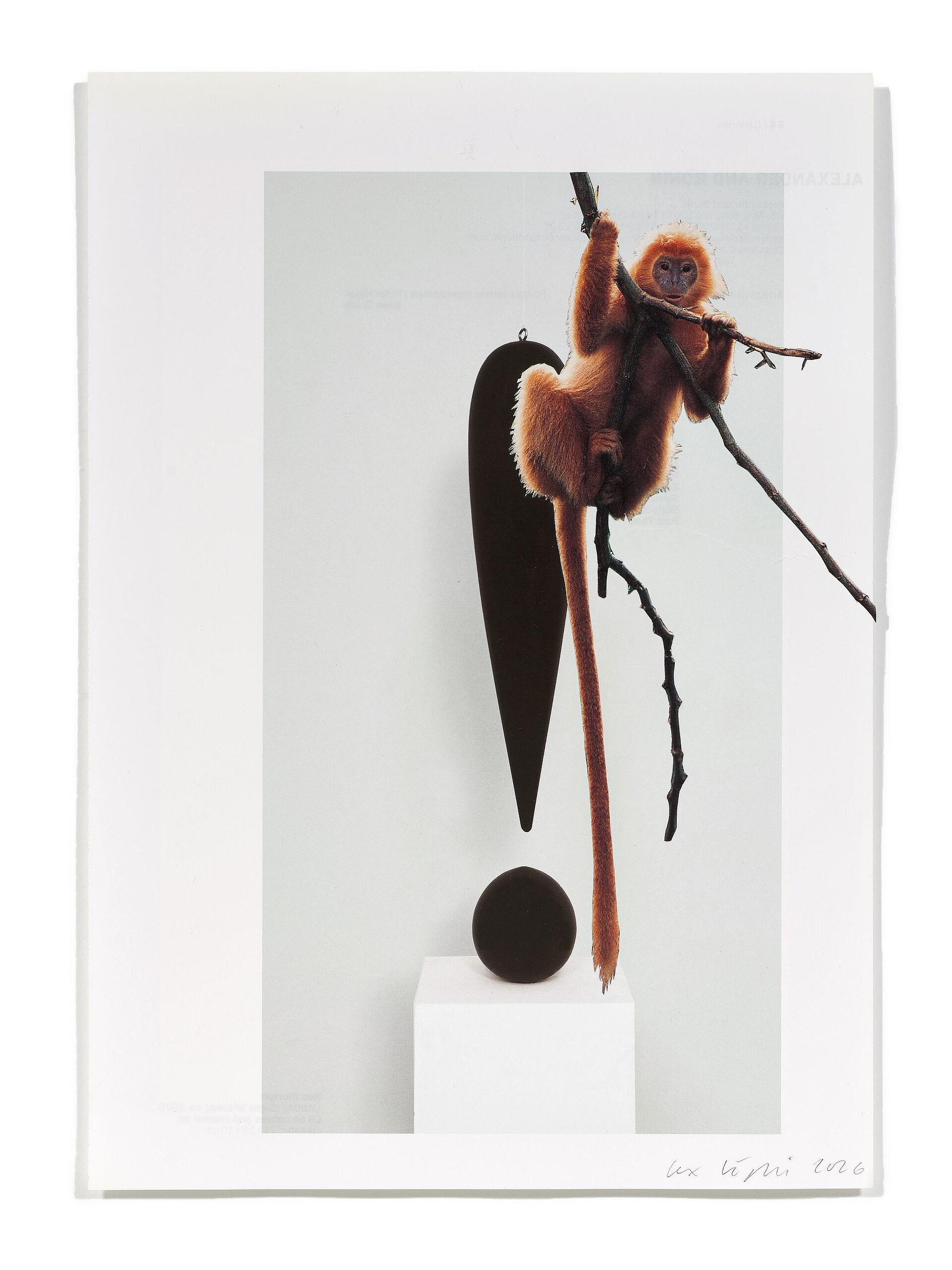 Primaten (R. Artschwager), 2026
Analoge Collage aus Printmaterial
ca. A4
(Fotografie: © Mark Niedermann, Basel)