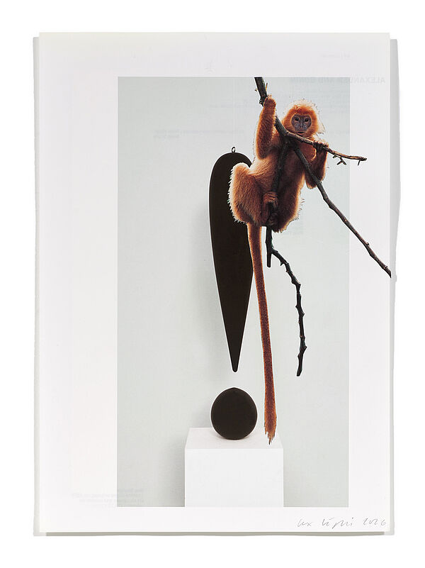 Primaten (R. Artschwager) Primaten (R. Artschwager), 2026
Analoge Collage aus Printmaterial
ca. A4
(Fotografie: © Mark Niedermann, Basel)