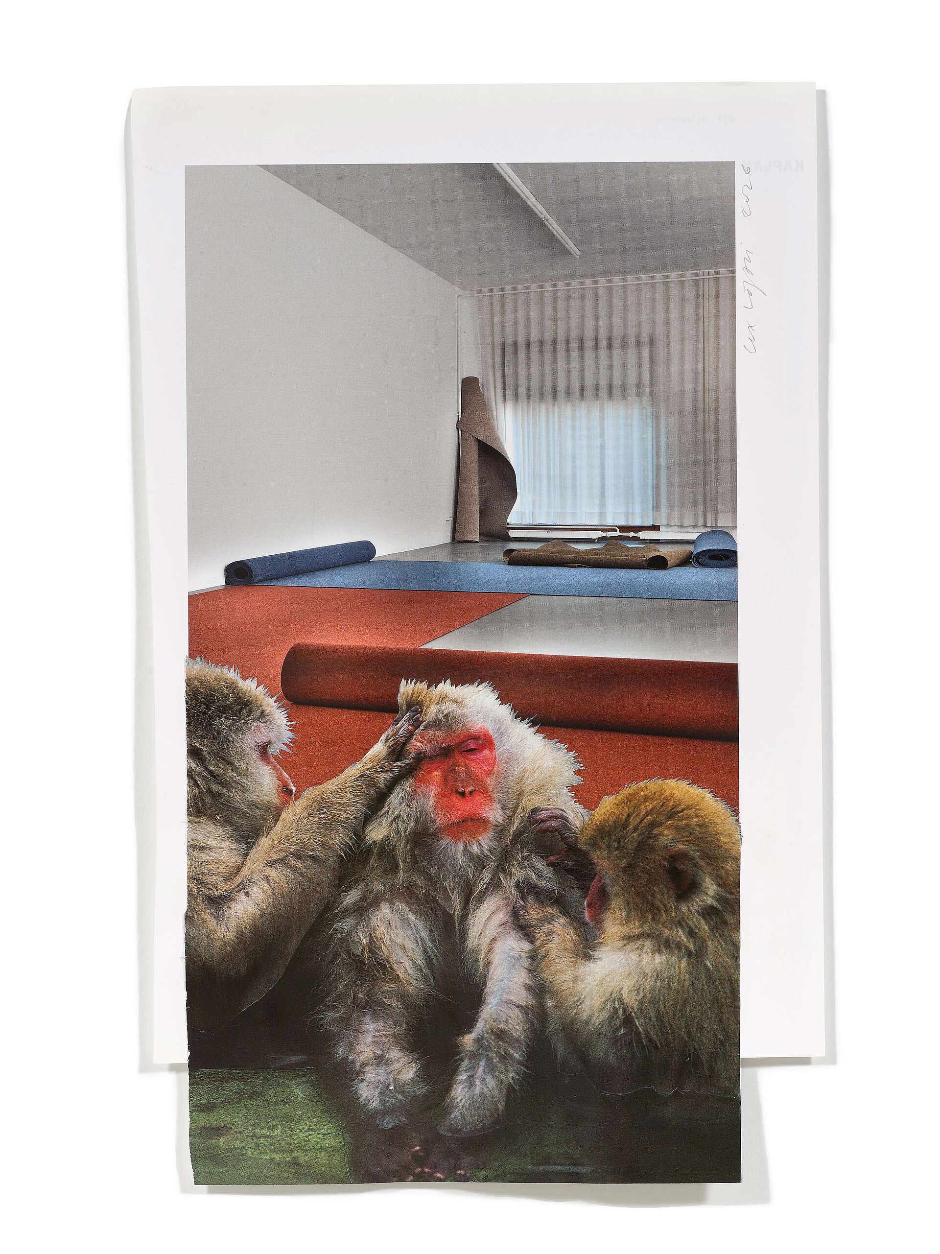 Primaten (S. Dibbroe), 2026
Analoge Collage aus Printmaterial
ca. A4
(Fotografie: © Mark Niedermann, Basel)