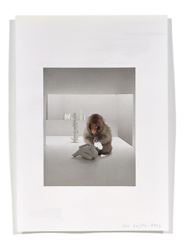 Primaten (Y. Netzhammer) Primaten (Y. Netzhammer), 2026
Analoge Collage aus Printmaterial
ca. A4
(Fotografie: © Mark Niedermann, Basel)