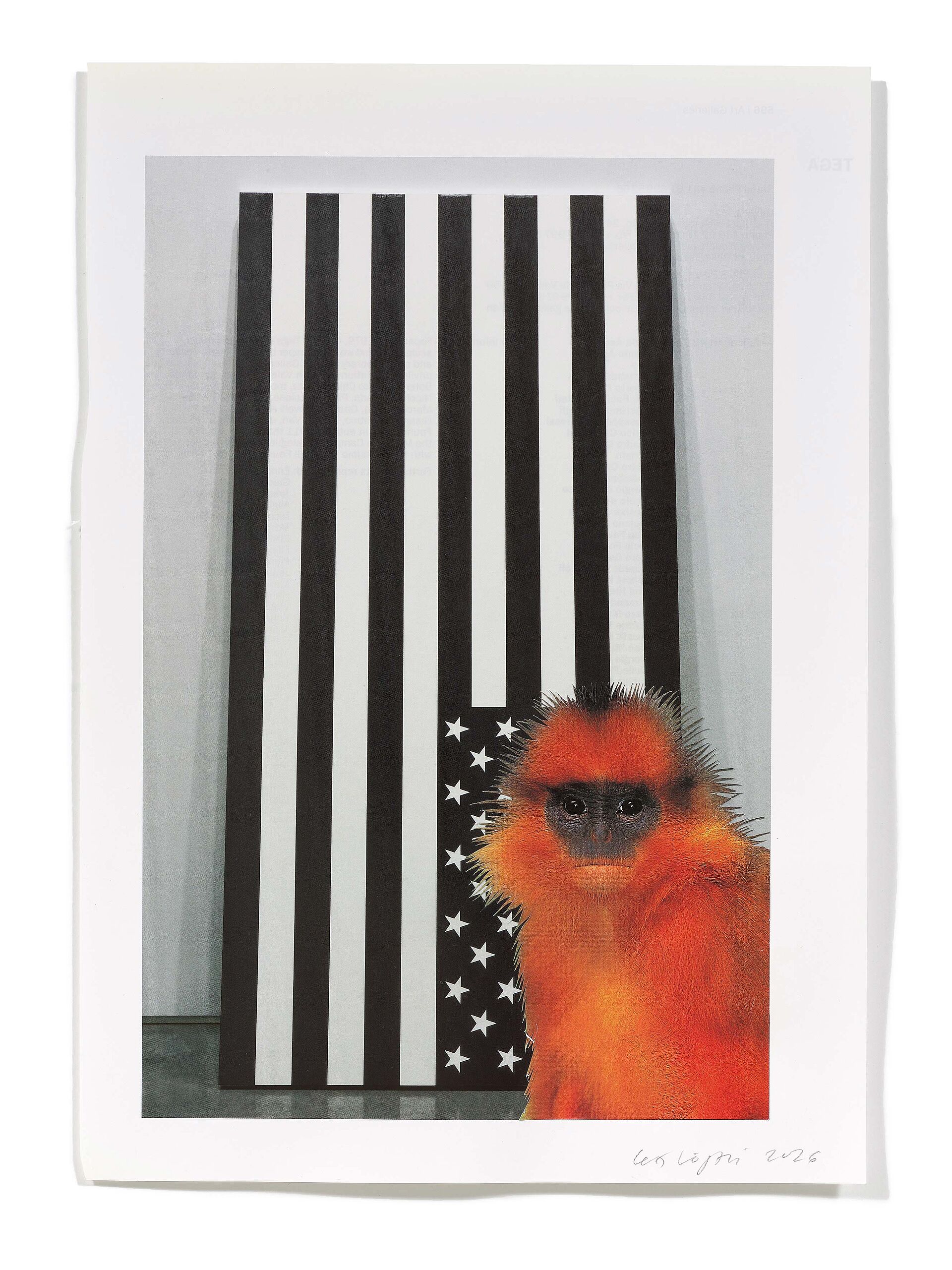 Primaten (B. Violette), 2026
Analoge Collage aus Printmaterial
ca. A4
(Fotografie: © Mark Niedermann, Basel)