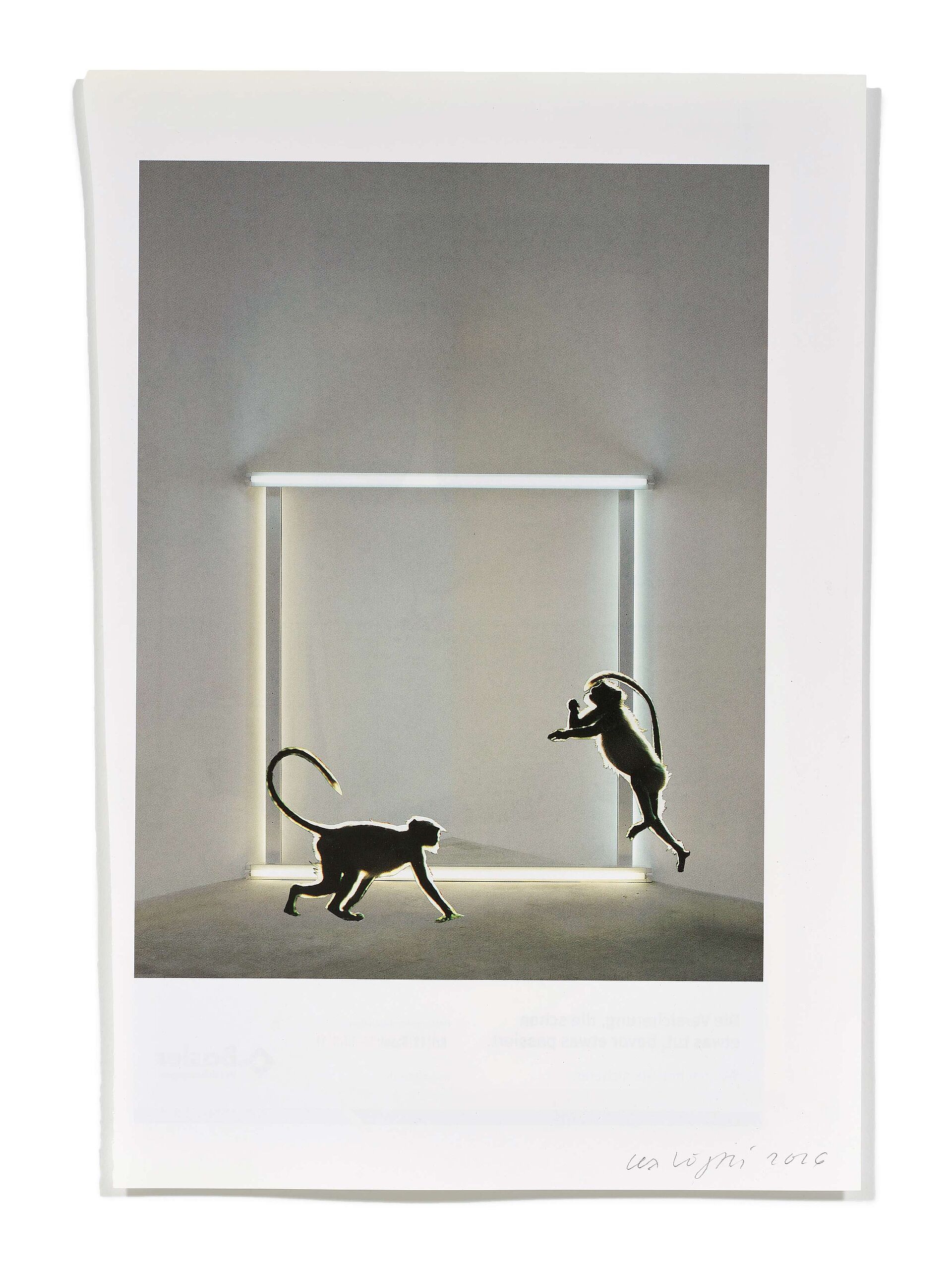 Primaten (D. Flavin), 2026
Analoge Collage aus Printmaterial
ca. A4
(Fotografie: © Mark Niedermann, Basel)