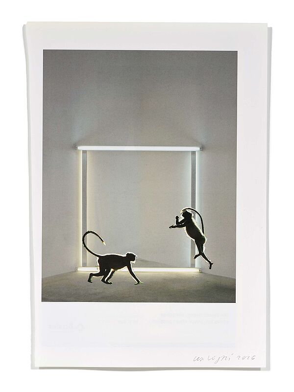 Primaten (D. Flavin) Primaten (D. Flavin), 2026
Analoge Collage aus Printmaterial
ca. A4
(Fotografie: © Mark Niedermann, Basel)