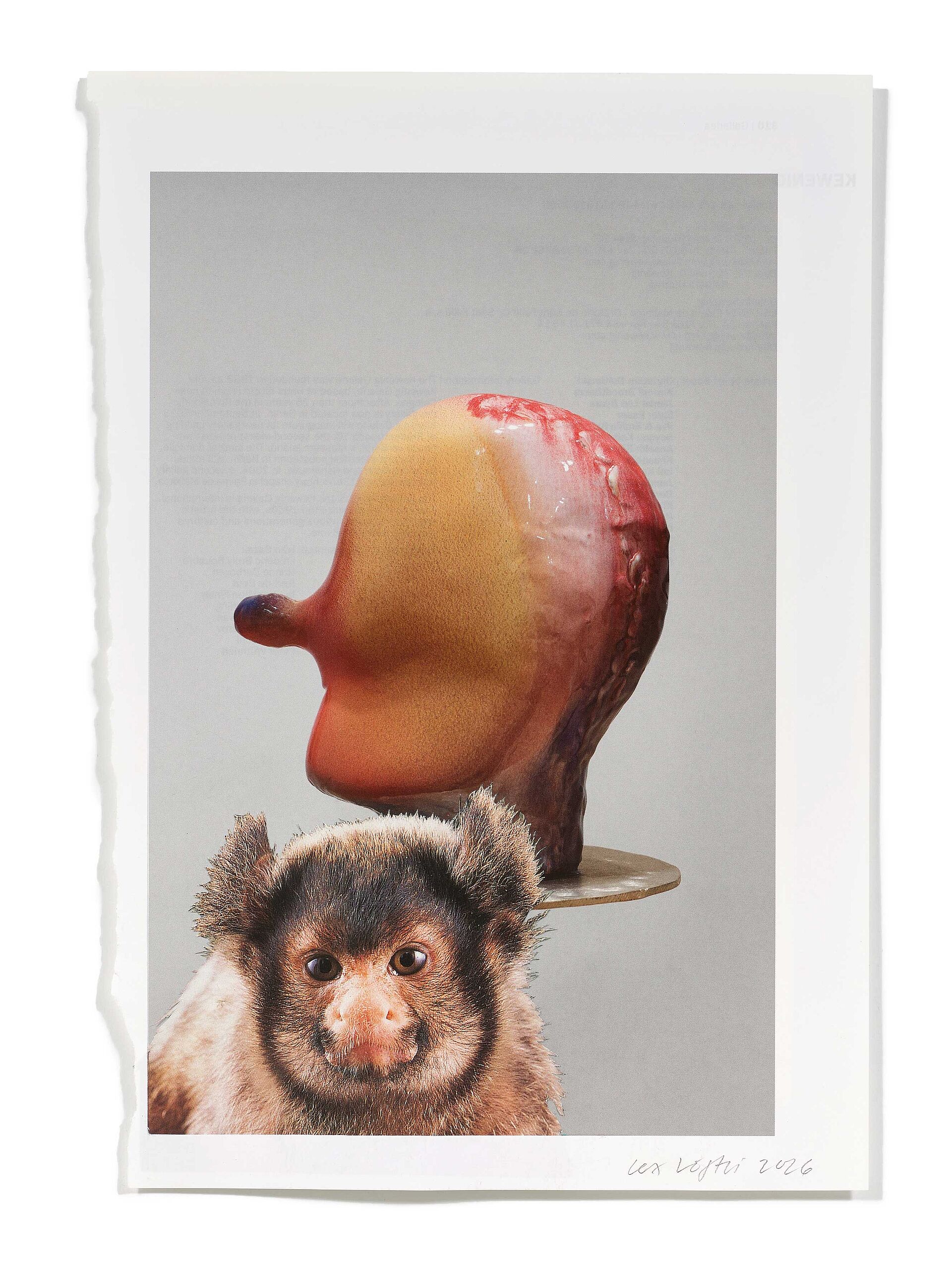 Primaten (A. Pessoli), 2026
Analoge Collage aus Printmaterial
ca. A4
(Fotografie: © Mark Niedermann, Basel)