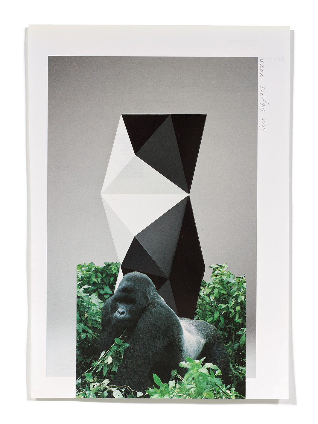 Primaten (D. Bill), 2026
Analoge Collage aus Printmaterial
ca. A4
(Fotografie: © Mark Niedermann, Basel)